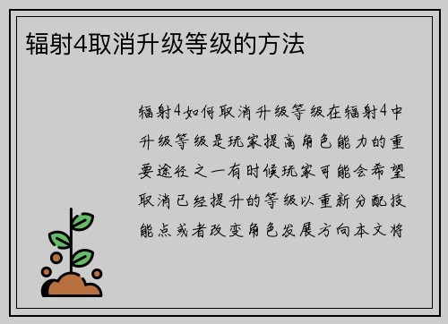 辐射4取消升级等级的方法