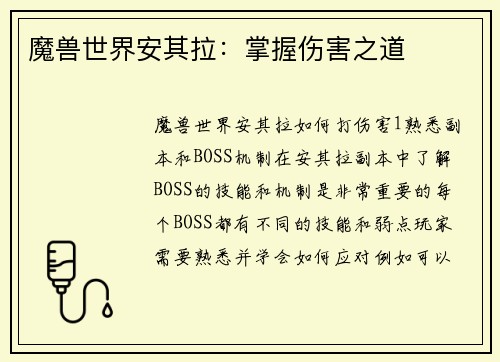 魔兽世界安其拉：掌握伤害之道