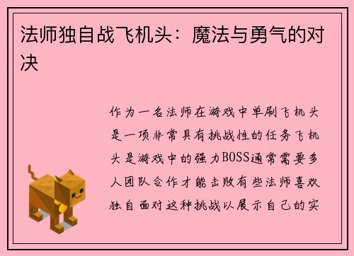 法师独自战飞机头：魔法与勇气的对决